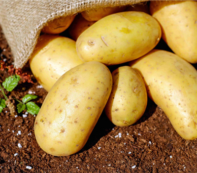 Image hover effect image