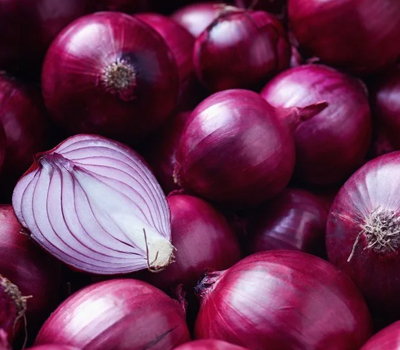 Image hover effect image